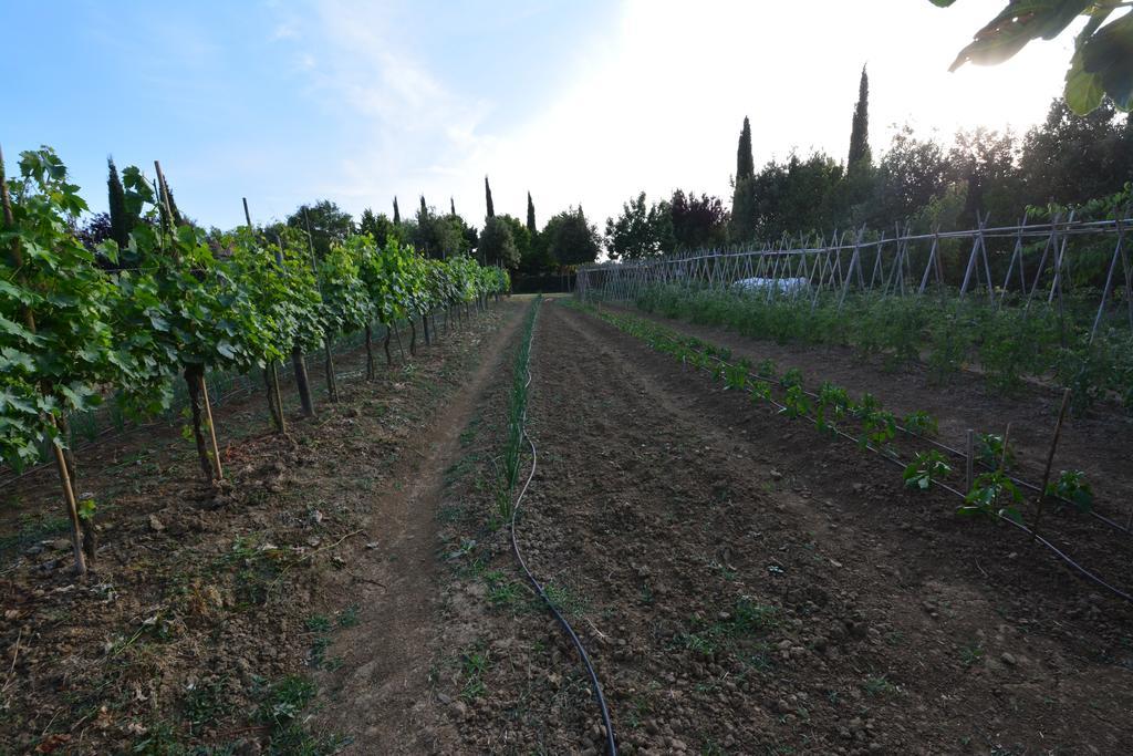 Agriturismo Dolce Verde Кастильоне-дель-Лаго Экстерьер фото