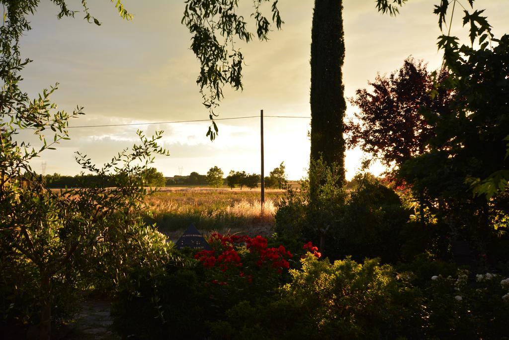 Agriturismo Dolce Verde Кастильоне-дель-Лаго Экстерьер фото