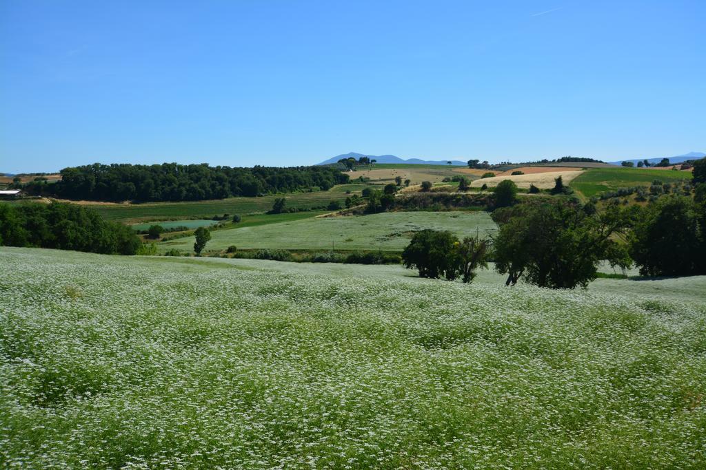 Agriturismo Dolce Verde Кастильоне-дель-Лаго Экстерьер фото